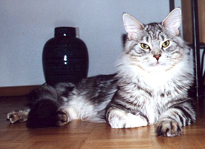 Urmel9.jpg (35872 Byte)